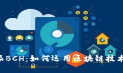 深入了解B特派BCH：如何运
