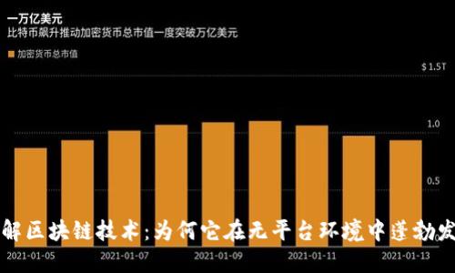 理解区块链技术：为何它在无平台环境中蓬勃发展