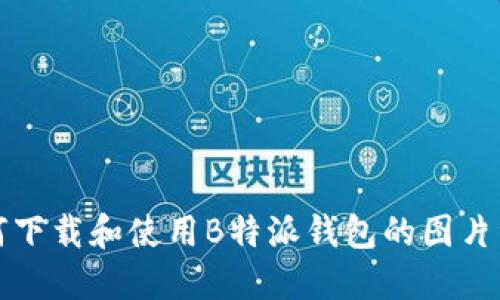 如何下载和使用B特派钱包的图片资源