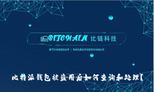 比特派钱包被盗用后如何查询和处理？