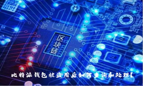 比特派钱包被盗用后如何查询和处理？