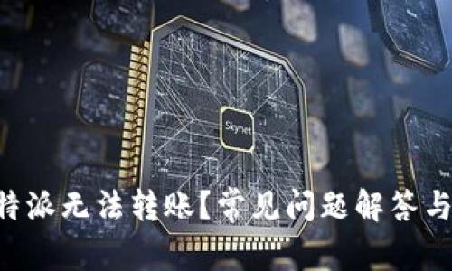 为什么B特派无法转账？常见问题解答与解决方案
