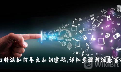 比特派如何导出私钥密码：详细步骤与注意事项