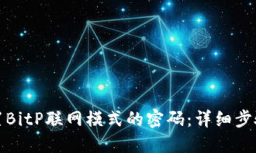 如何设置BitP联网模式的密码：详细步骤与技巧