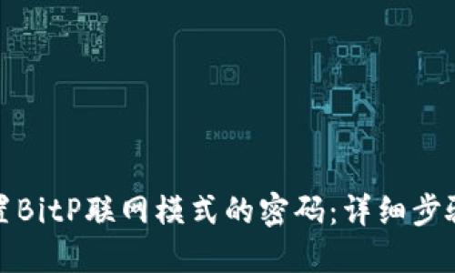 如何设置BitP联网模式的密码：详细步骤与技巧