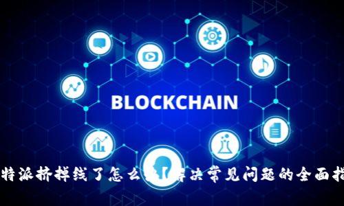 比特派挤掉线了怎么办？解决常见问题的全面指南