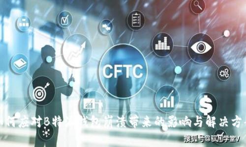 如何应对B特派钱包崩溃带来的影响与解决方案