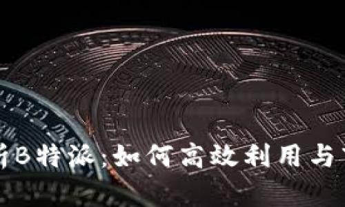 深入解析B特派：如何高效利用与市场前景