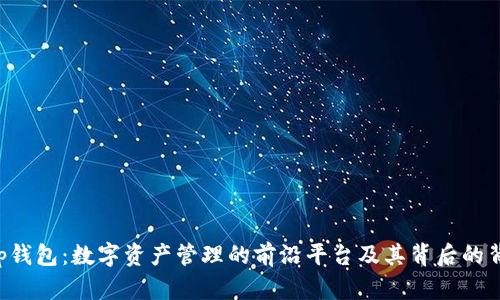 Bitkeep钱包：数字资产管理的前沿平台及其背后的背景分析