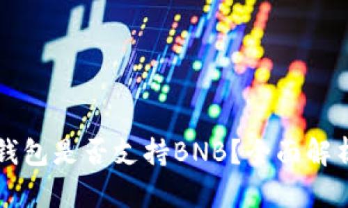 比特派钱包是否支持BNB？全面解析及应用