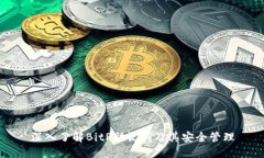 深入了解BitP助记词及其安