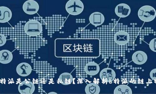 : b特派是公链还是私链？深入解析b特派的链上特性