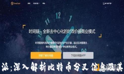 
比特派：深入解析比特币分叉信息及其影响