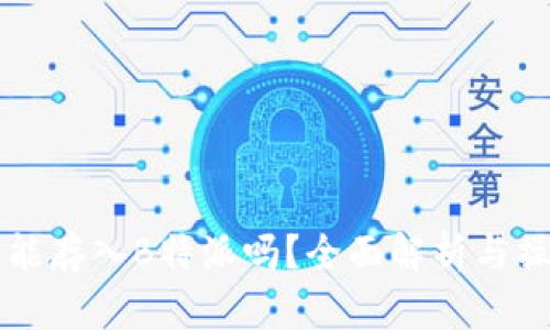 狗狗币能存入B特派吗？全面解析与操作指南