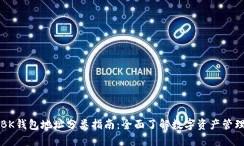 BK钱包地址分类指南：全面了解数字资产管理
