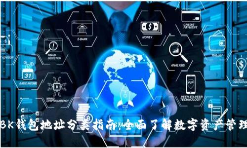 BK钱包地址分类指南：全面了解数字资产管理