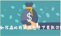 如何在比特派钱包中下载