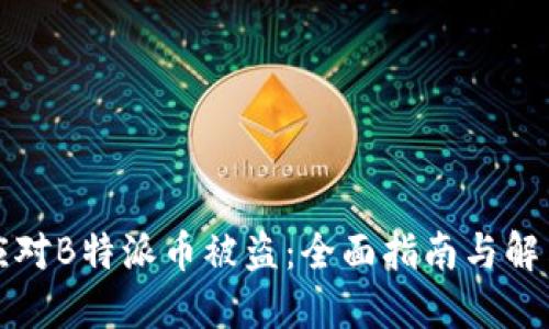 如何应对B特派币被盗：全面指南与解决方案