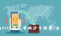 如何在BitP钱包中减少手续