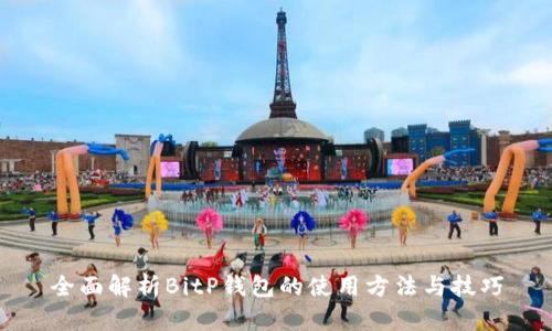 全面解析BitP钱包的使用方法与技巧