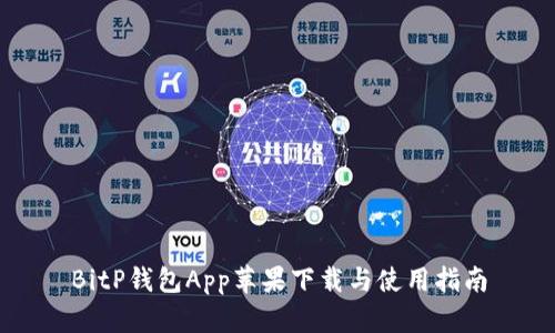 BitP钱包App苹果下载与使用指南
