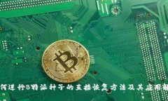 如何进行B特派种子的直接