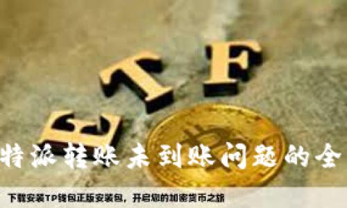 解决B特派转账未到账问题的全面指南