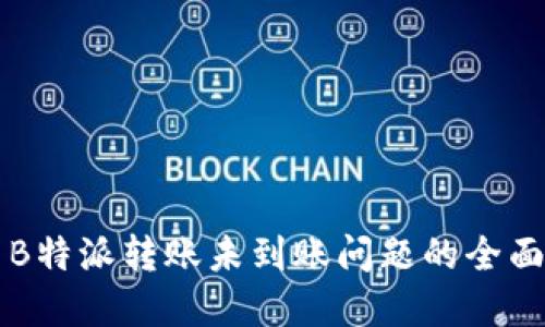 解决B特派转账未到账问题的全面指南