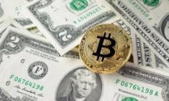   bitp钱包的币被转走了还能用吗？探讨钱包安全