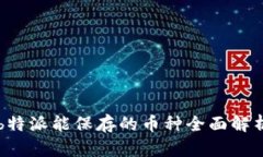 b特派能保存的币种全面解析