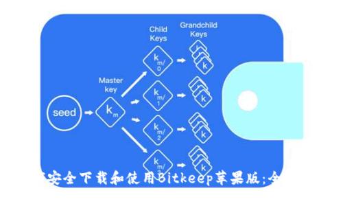如何安全下载和使用Bitkeep苹果版：全面指南