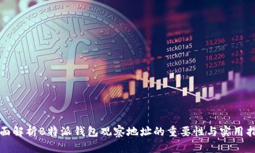 全面解析B特派钱包观察地址的重要性与实用指南