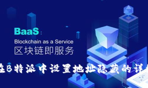 如何在B特派中设置地址隐藏的详细指南