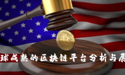 全球成熟的区块链平台分析与展望