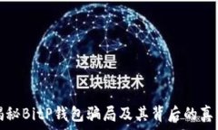   揭秘BitP钱包骗局及其背后的真相
