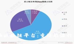壳牌石油区块链平台：重
