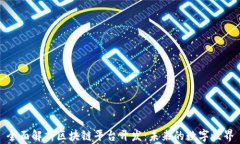 全面解析区块链平台开发