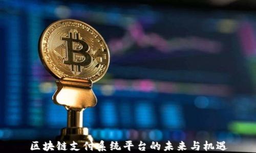 
区块链支付系统平台的未来与机遇