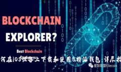 如何在iOS设备上下载和使