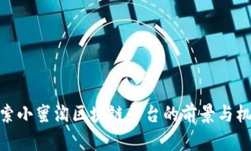 探索小蜜淘区块链平台的前景与机遇
