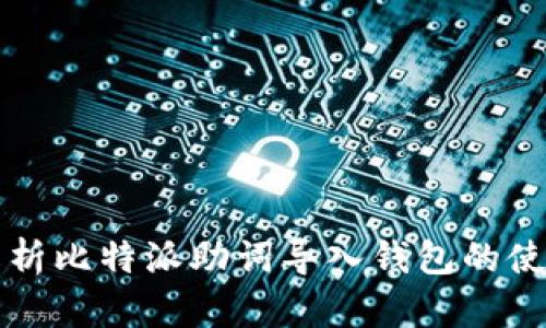 全面解析比特派助词导入钱包的使用指南
