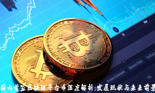 
国内首家区块链平台币深度解析：发展现状与未来前景