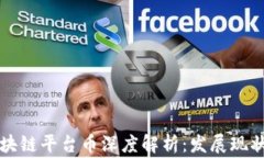 国内首家区块链平台币深