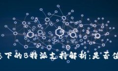波卡生态下的B特派支持解