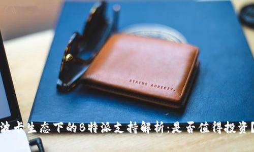波卡生态下的B特派支持解析：是否值得投资？