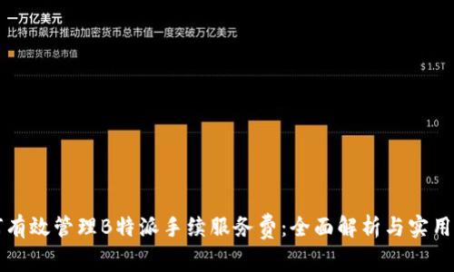 如何有效管理B特派手续服务费：全面解析与实用指南