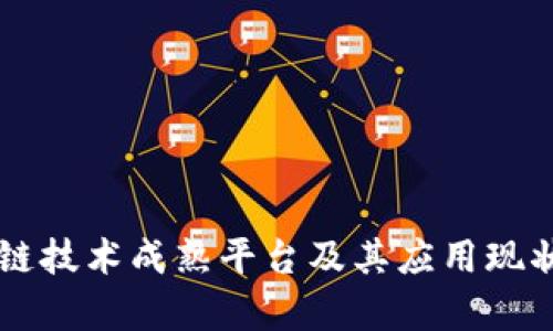 区块链技术成熟平台及其应用现状解析