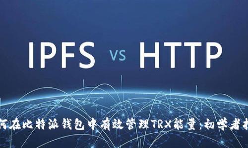 如何在比特派钱包中有效管理TRX能量：初学者指南