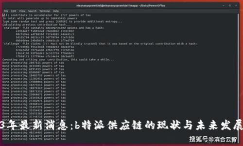 2023年最新消息：b特派供应链的现状与未来发展分析