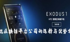 正规区块链平台公司的选择与优势分析